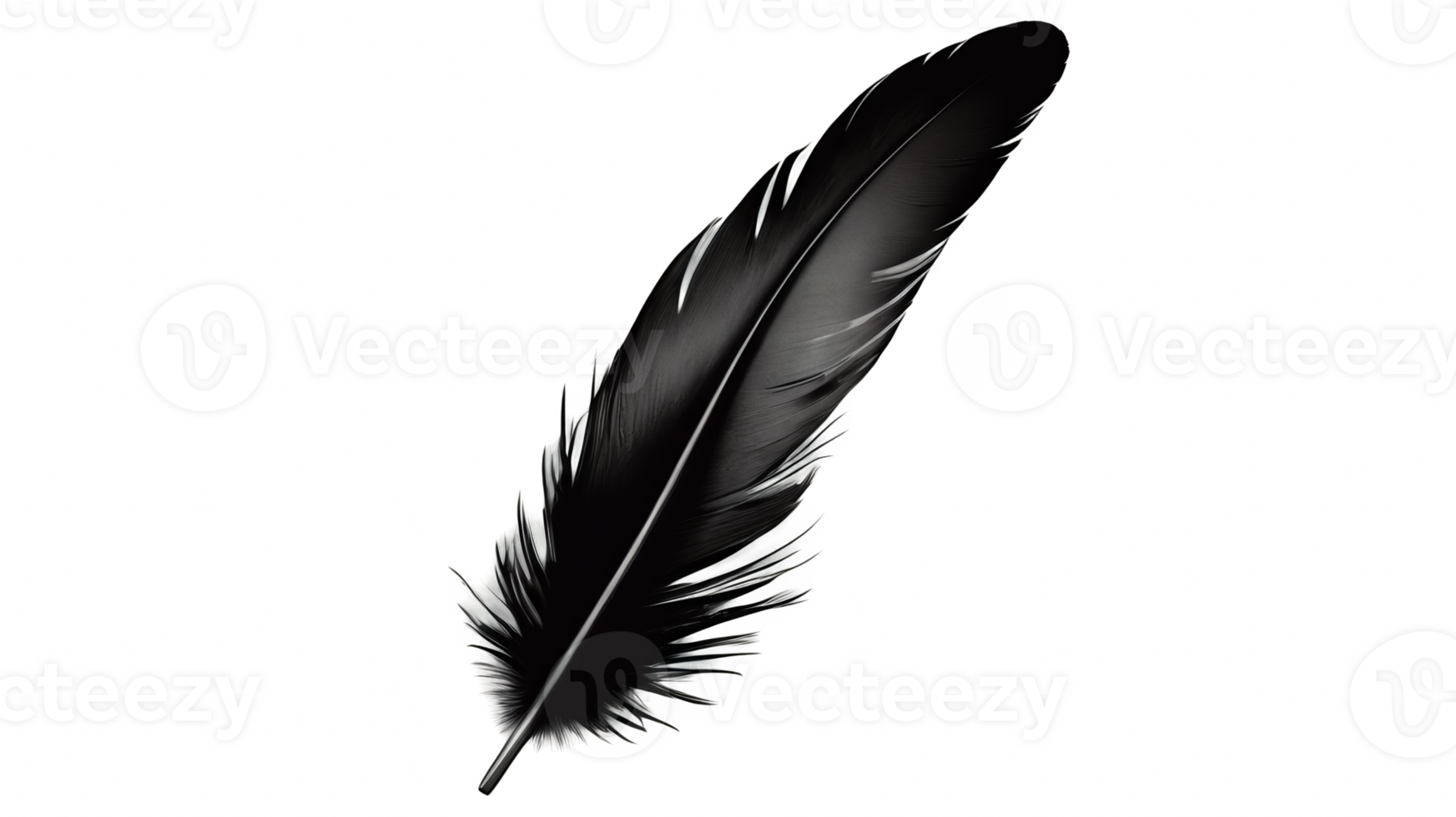 black feather isolated on isolated on transparent background png
