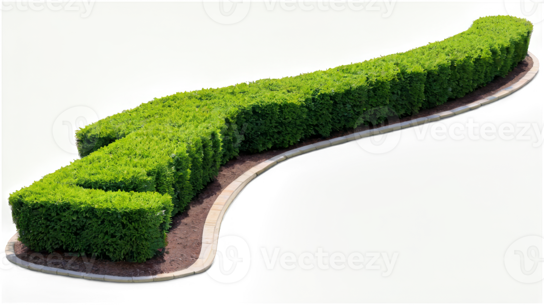Green garden bushes cut out png