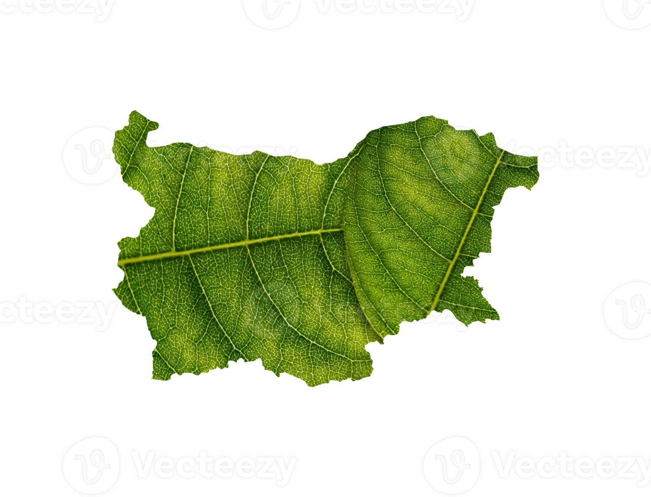 Bulgaria map made of green leaves ecology concept png