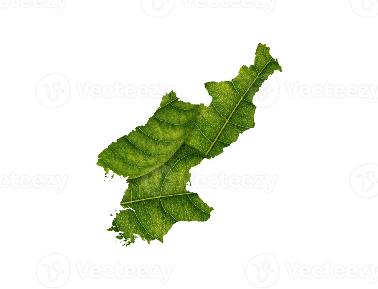 North Korea map made of green leaves ecology concept png