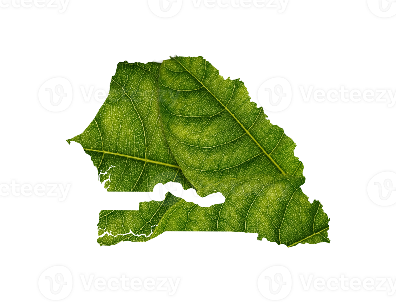 Senegal map made of green leaves ecology concept png