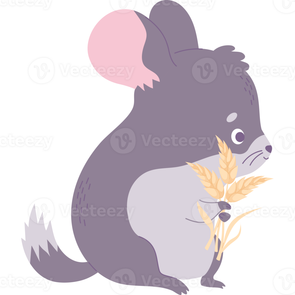 Chinchilla with ears of wheat png
