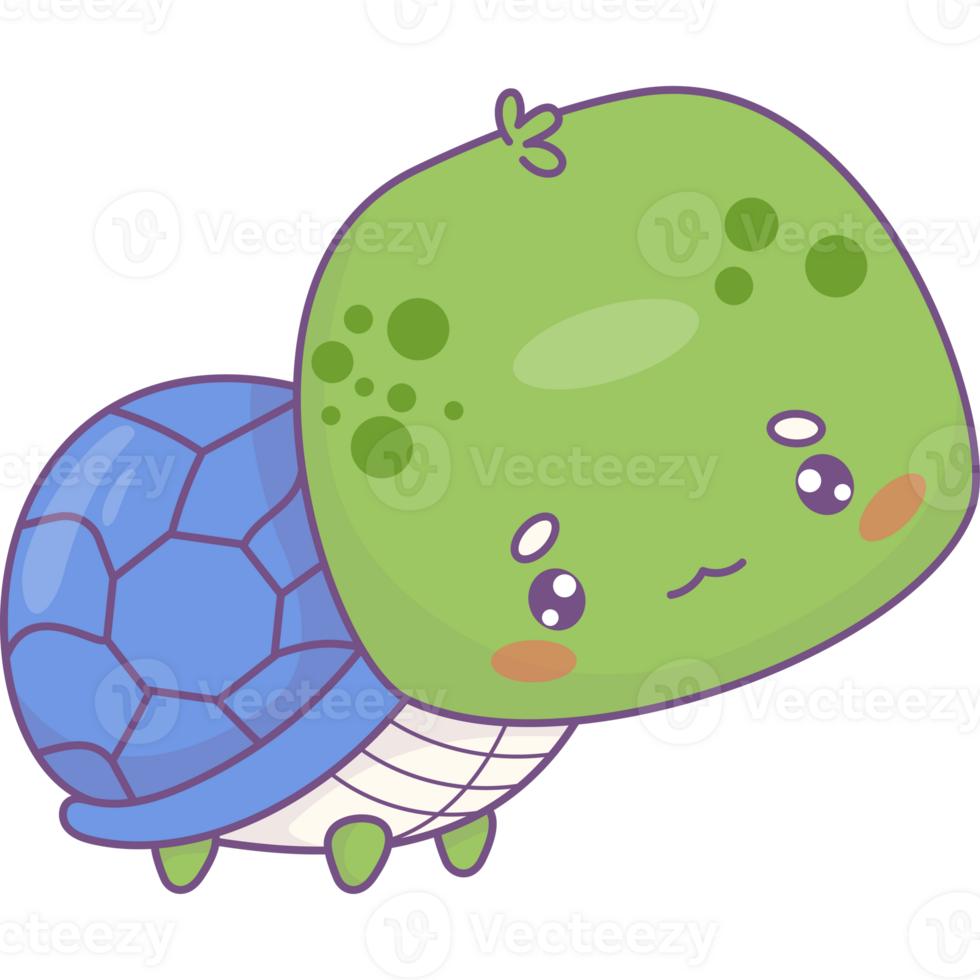 Funny little turtle png