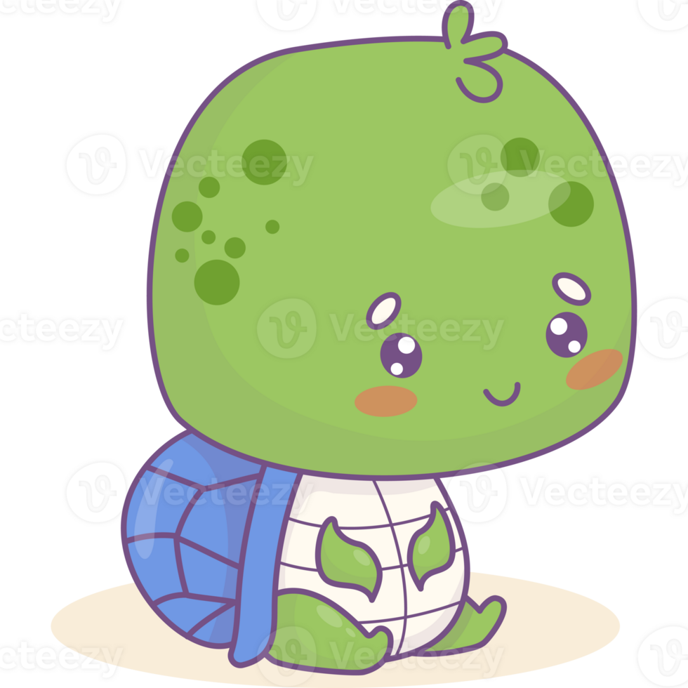 Cute Funny little turtle png