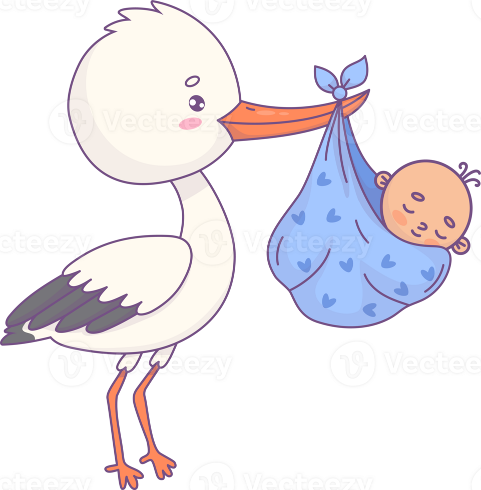 Cute stork with newborn baby boy png