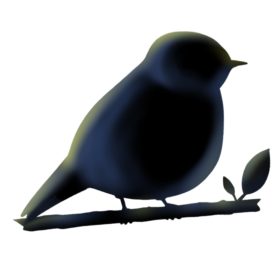 Bird shadow with branch isolated illustration png
