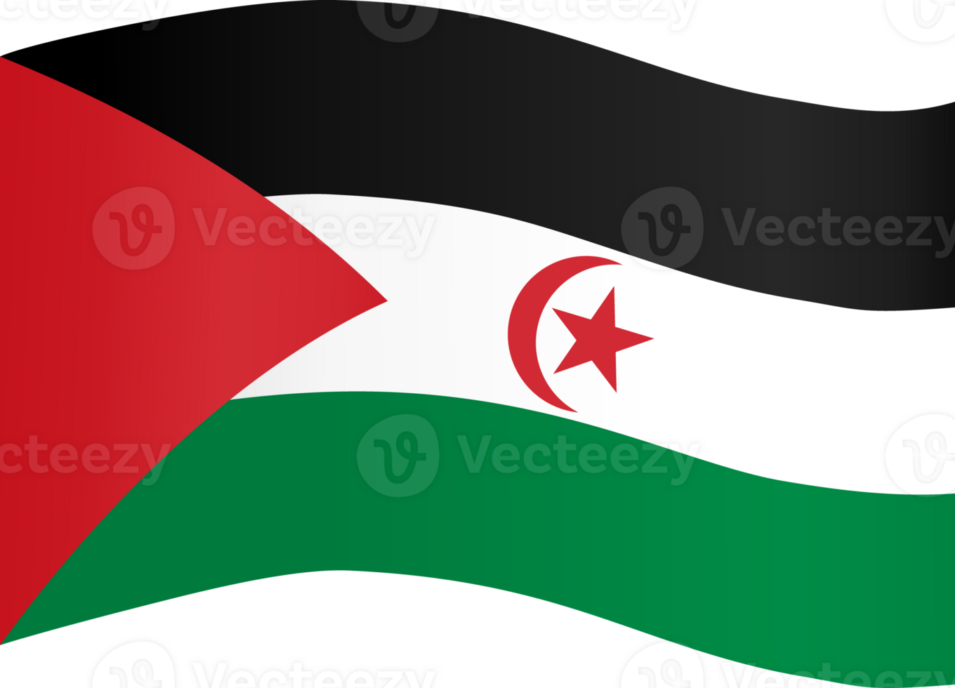 Western sahara flag wave png