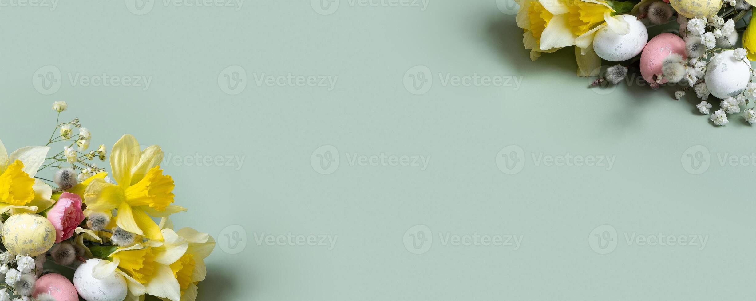 Daffodils, easter eggs and willow on green background with copy space. Easter greeting banner template photo