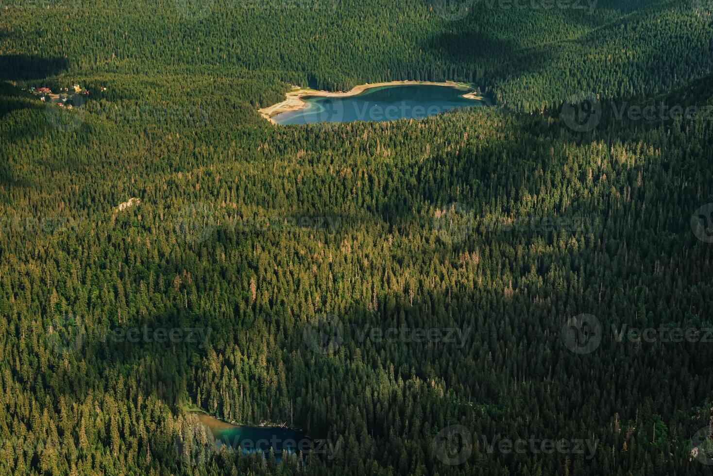 Aerial View of Black Lake and Snake Lake photo