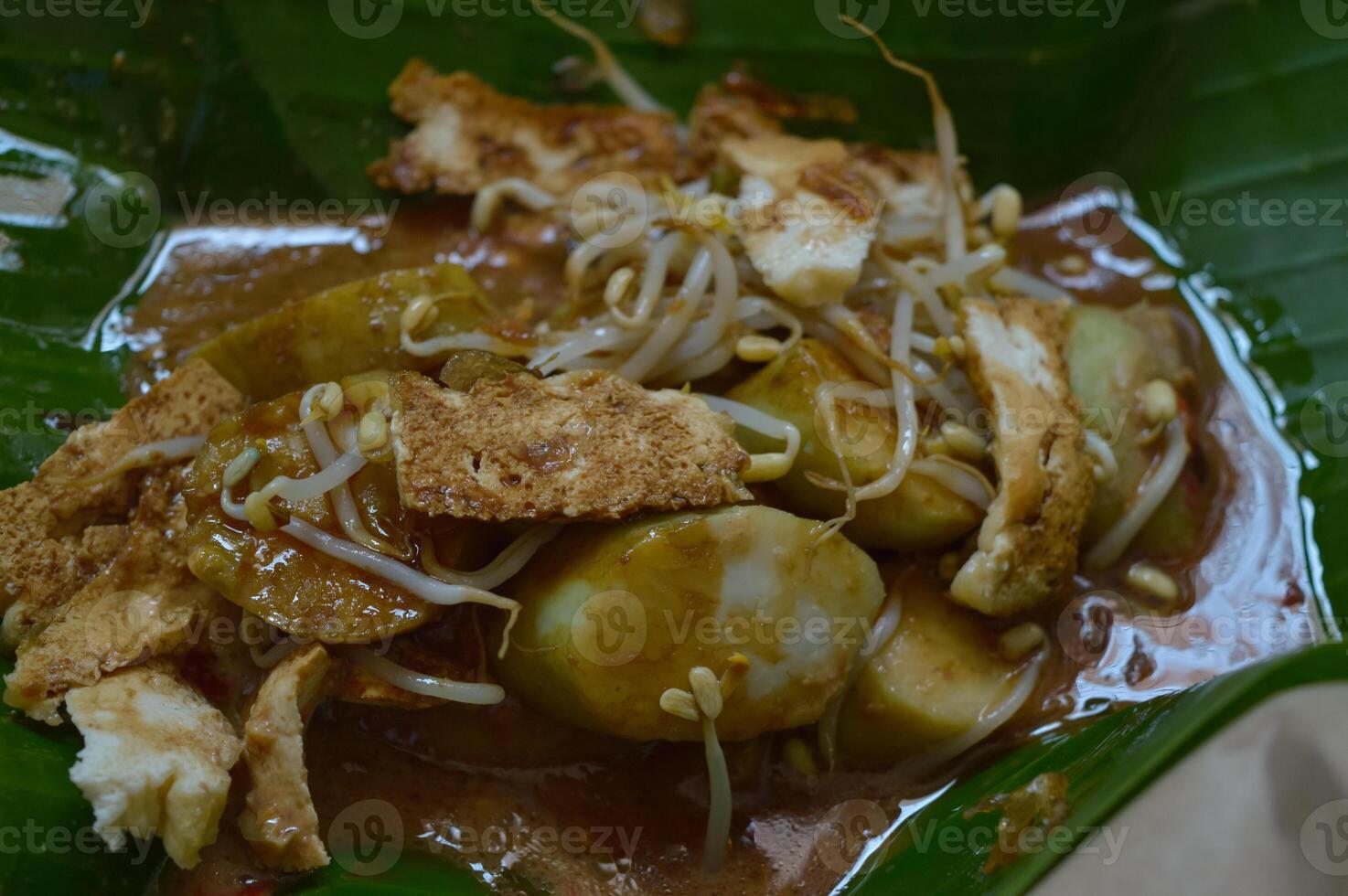 Indonesian traditional food called Tahu Campur, made from tofu, bean sprouts, chili, rice cake with peanut sauce. photo