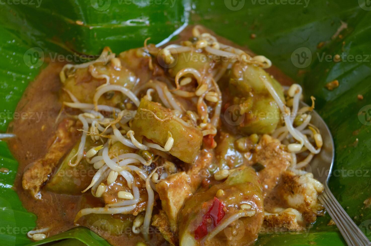 Indonesian traditional food called Tahu Campur, made from tofu, bean sprouts, chili, rice cake with peanut sauce. photo