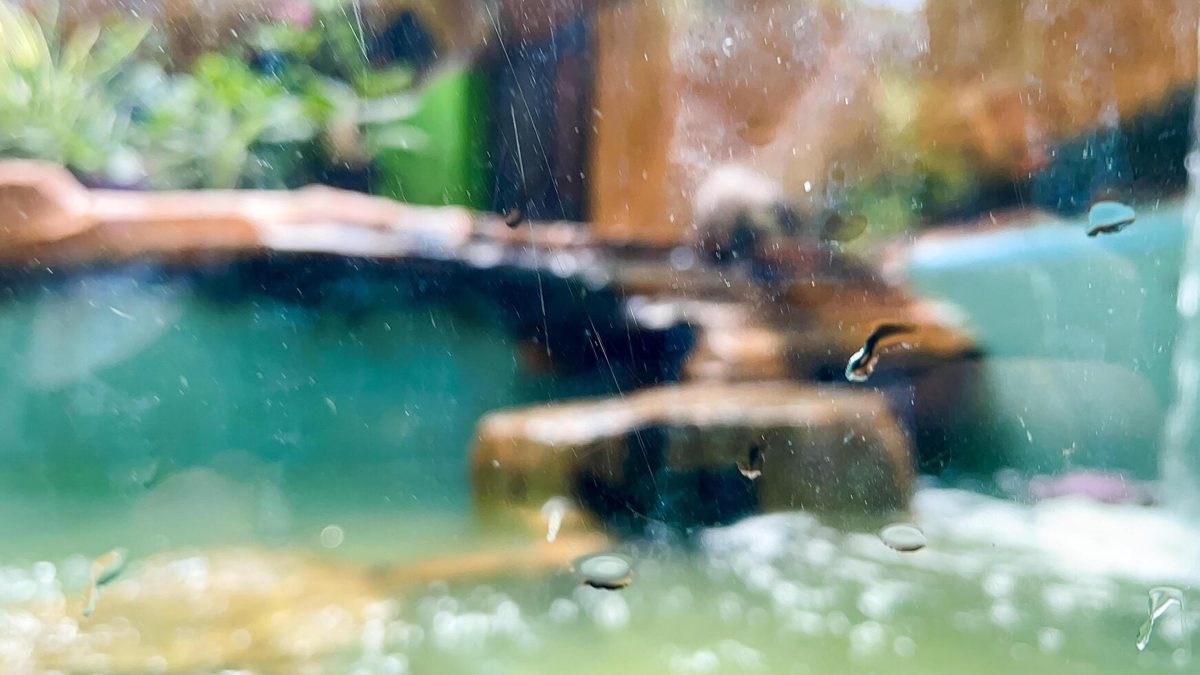 Blurry image of an otter hunting catfish in a pond to eat. photo