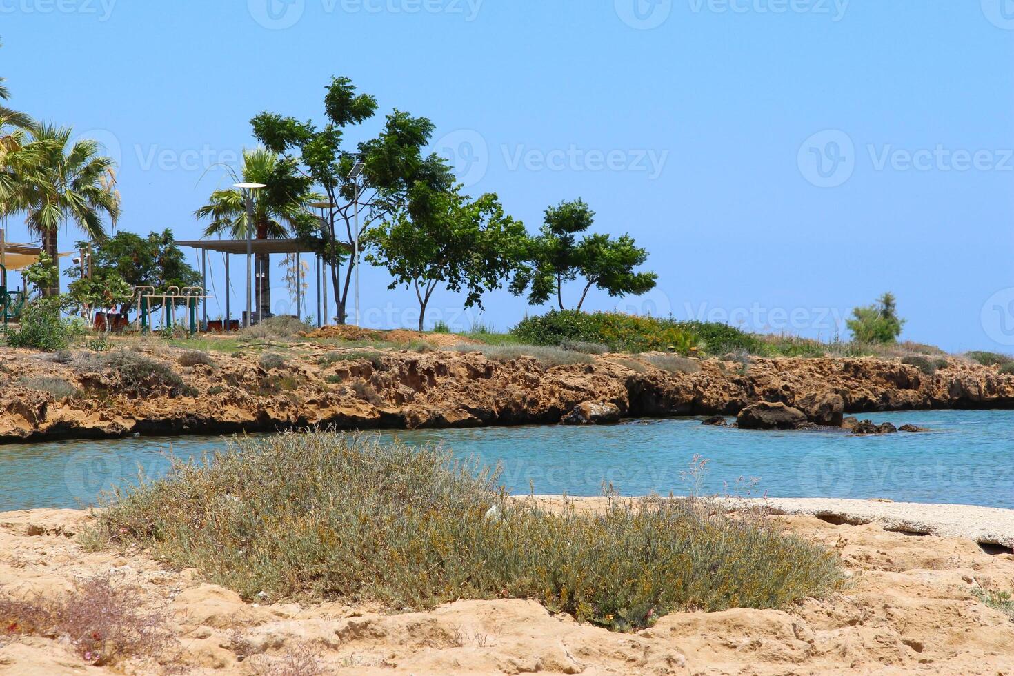 Summer holiday at sea. View of a sandy, rocky beach with vegetation on a hot summer day on the Mediterranean Sea, on the island of Cyprus, Protaras resort. Marlita beach with palm trees photo