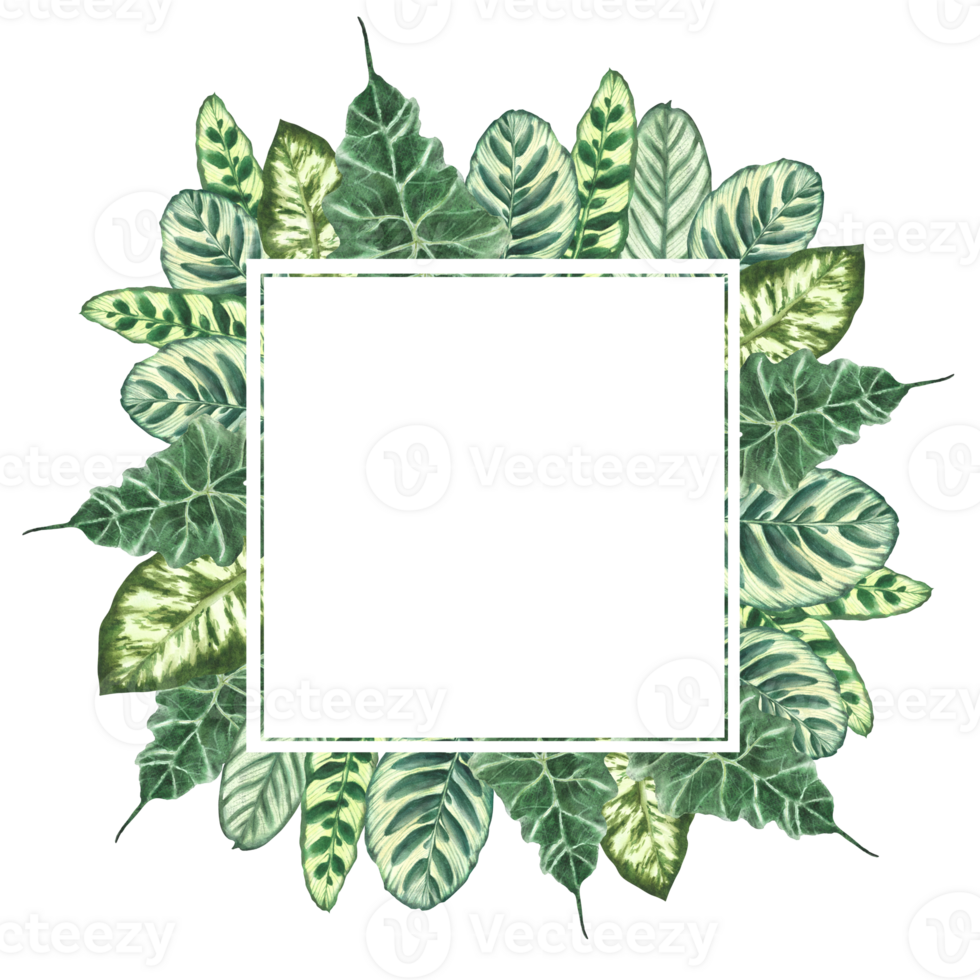 Tropical leaves watercolor square frame. Summer green realistic plant leaf, foliage banner. Hawaiian exotic template for greeting card. Jungle clipart. Hand drawn illustration on isolated background png