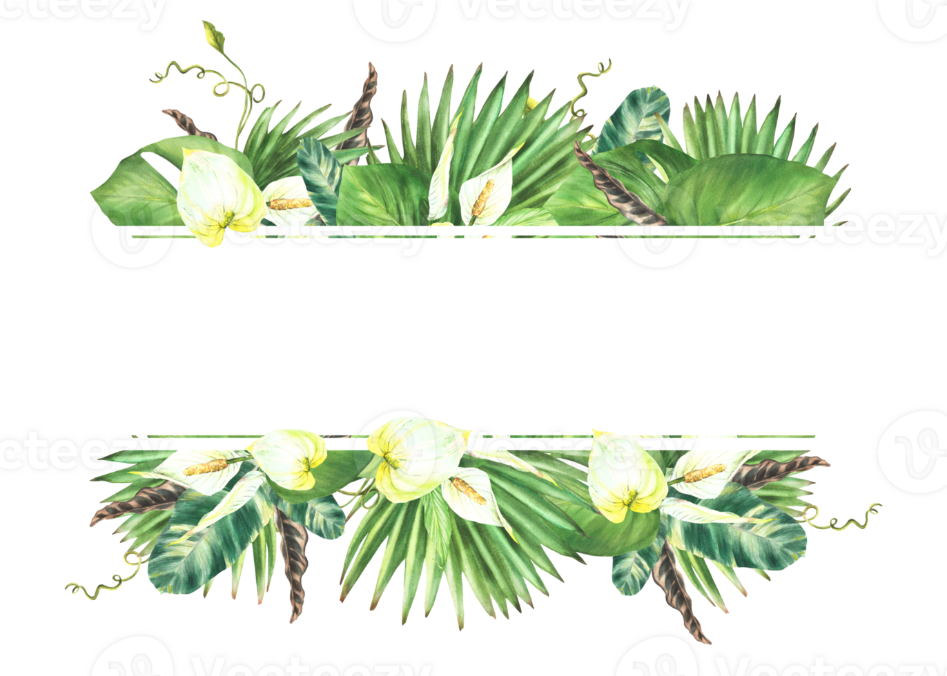 Tropical leaves and red flowers with buds banner. Watercolor Calla lily, palm leaf, calathea, philodendron exotic creeper. Jungle floral clipart. Hand drawn illustration. On isolated background. png