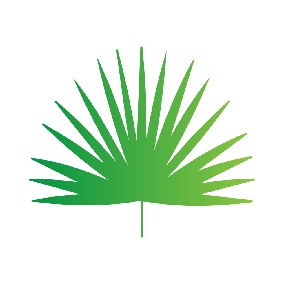 flat green leaves png