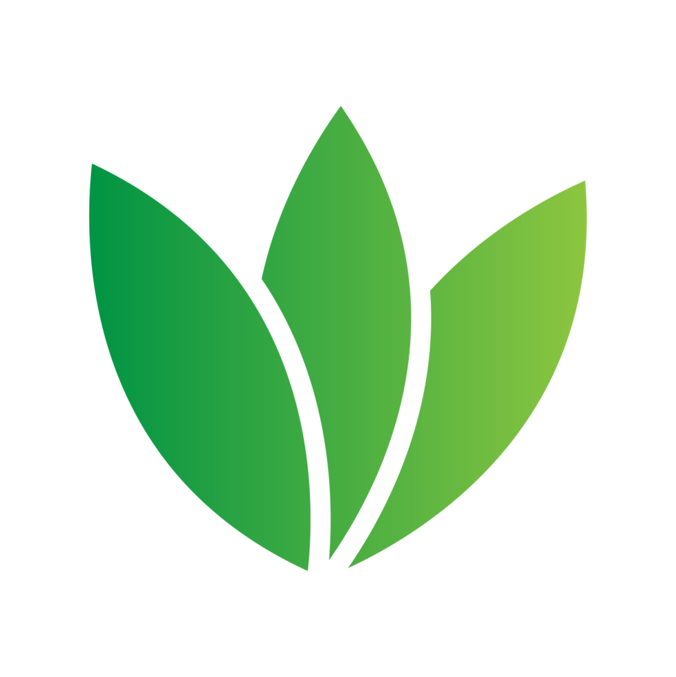 flat green leaves png