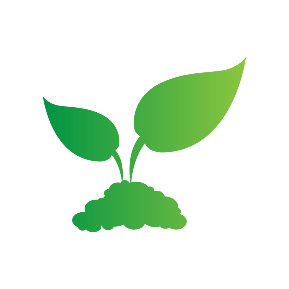 flat green leaves png