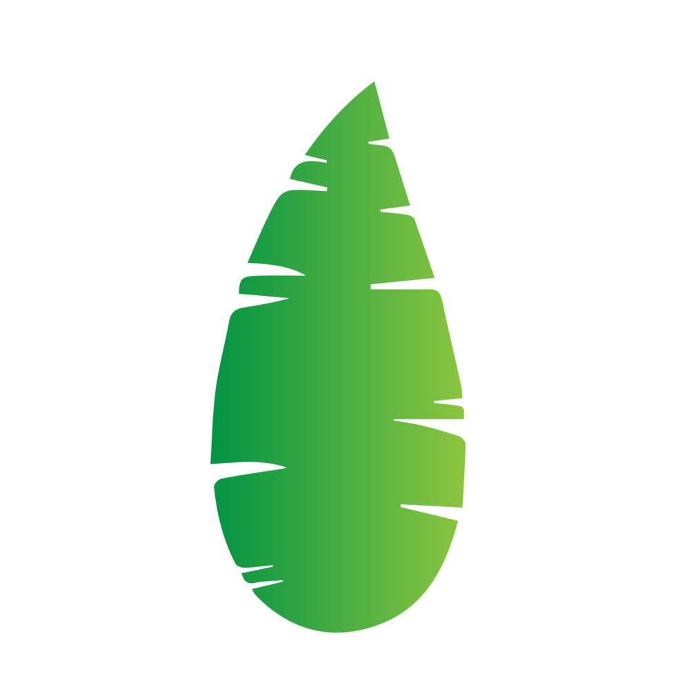 flat green leaves png