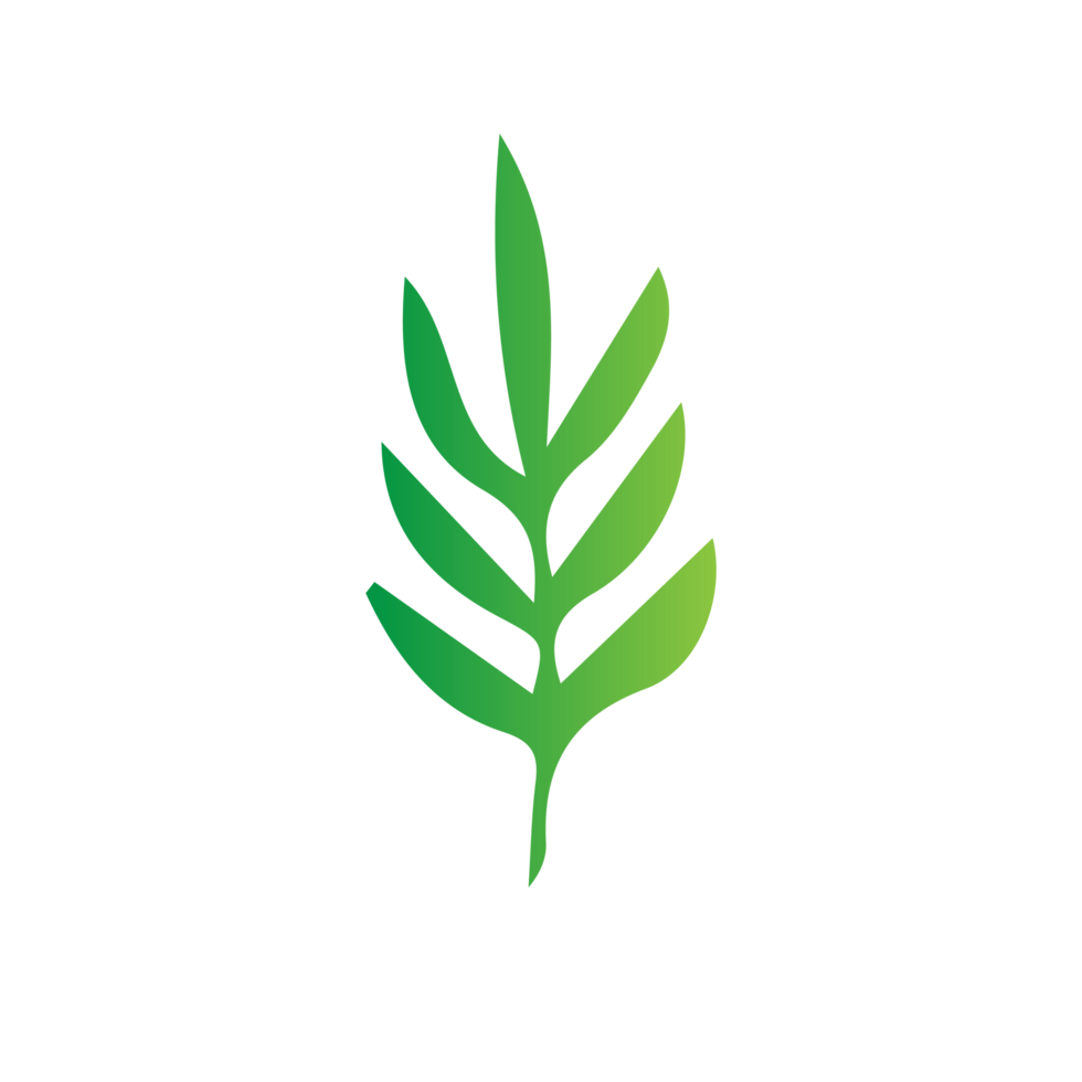 flat green leaves png