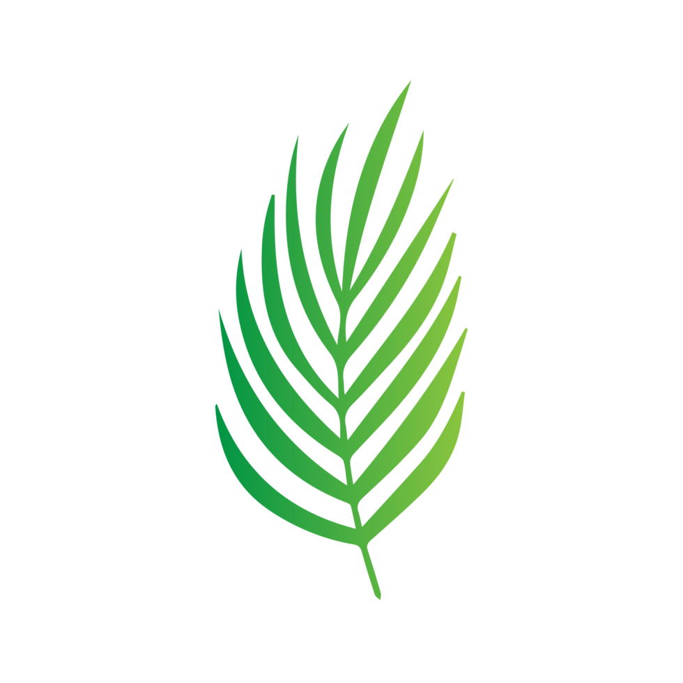 flat green leaves png