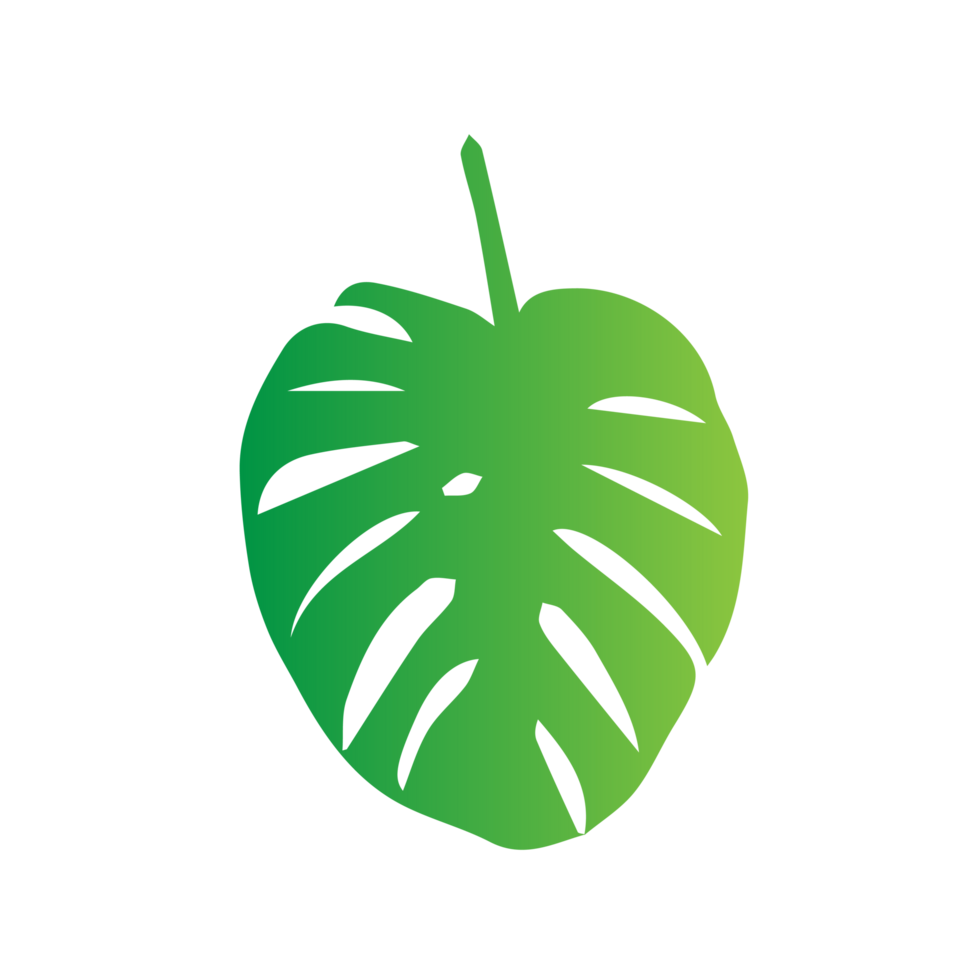 flat green leaves png