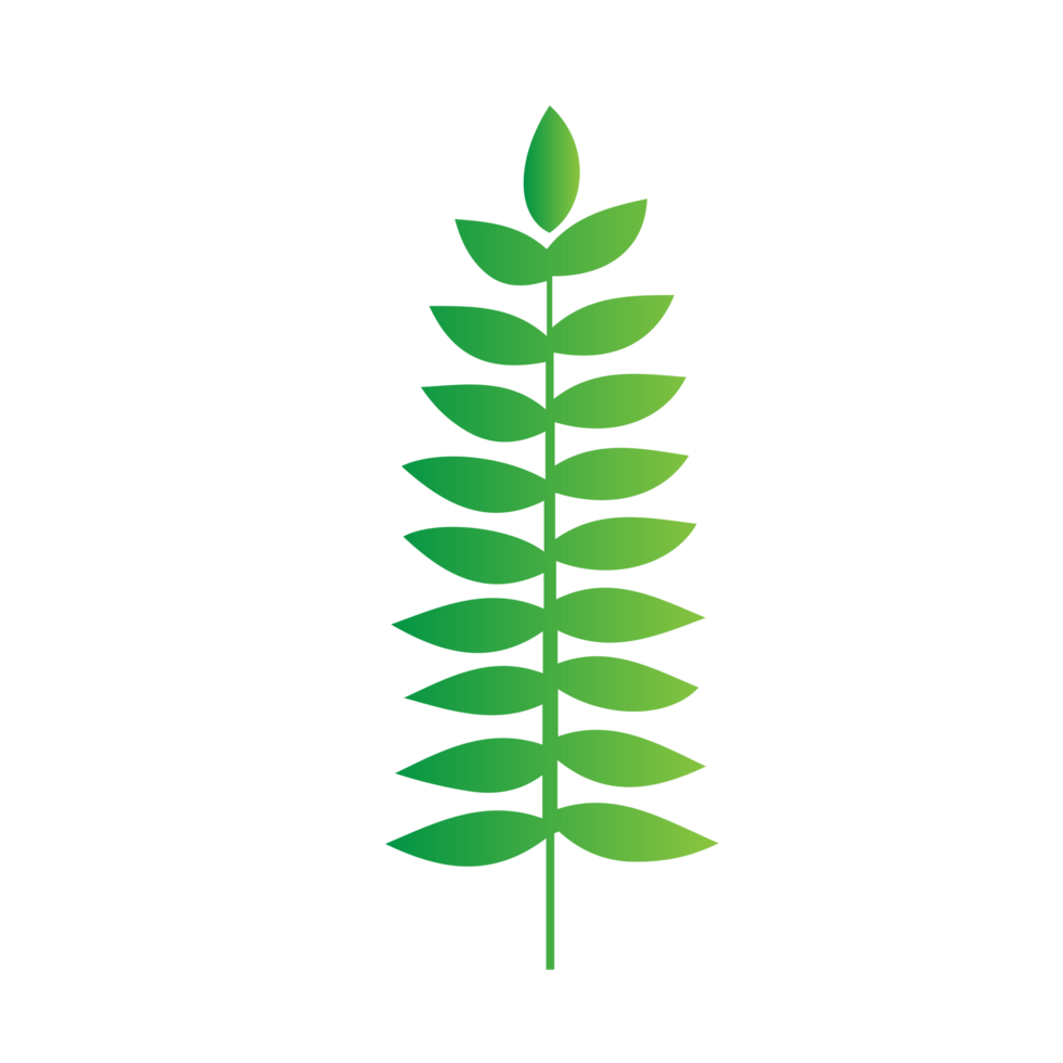 flat green leaves png