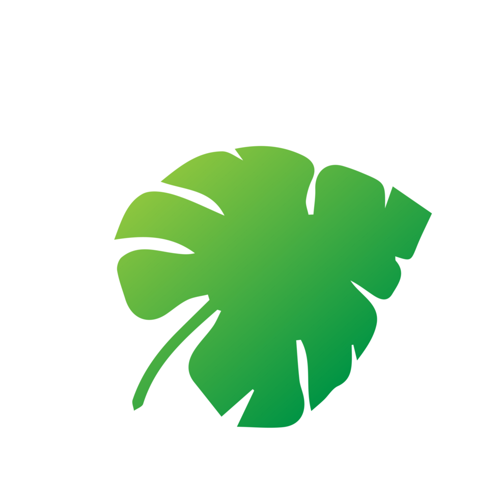 flat green leaves png