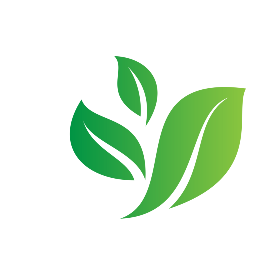 flat green leaves png