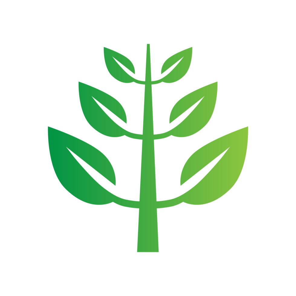 flat green leaves png