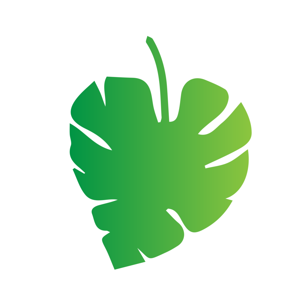 flat green leaves png