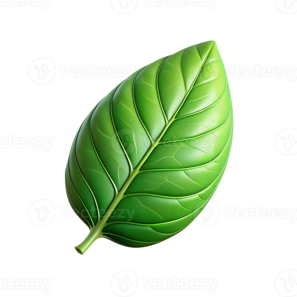 3d green leaf isolated on white image png