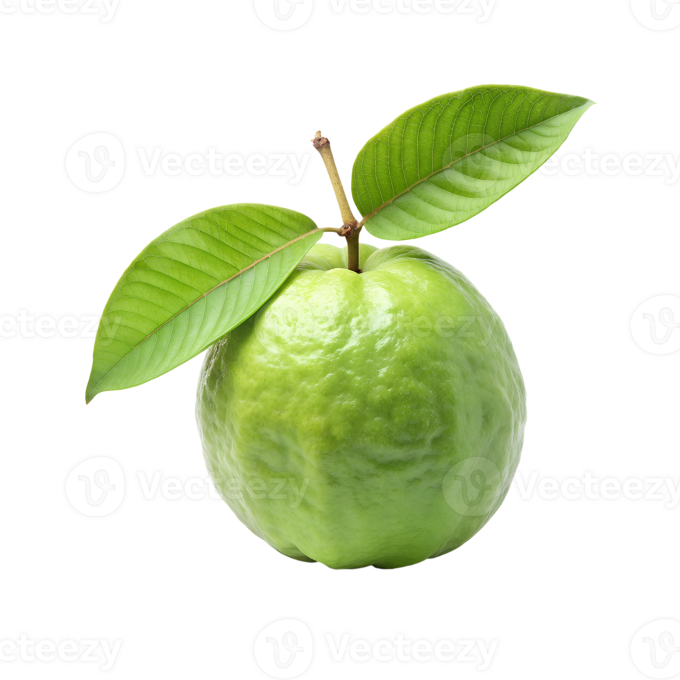 guava fruit with leaf on transparent background png