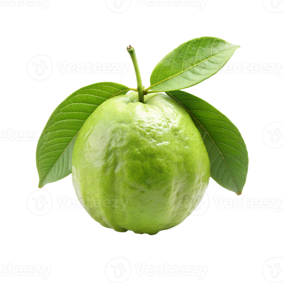 green guava fruit with leaves on a transparent background png