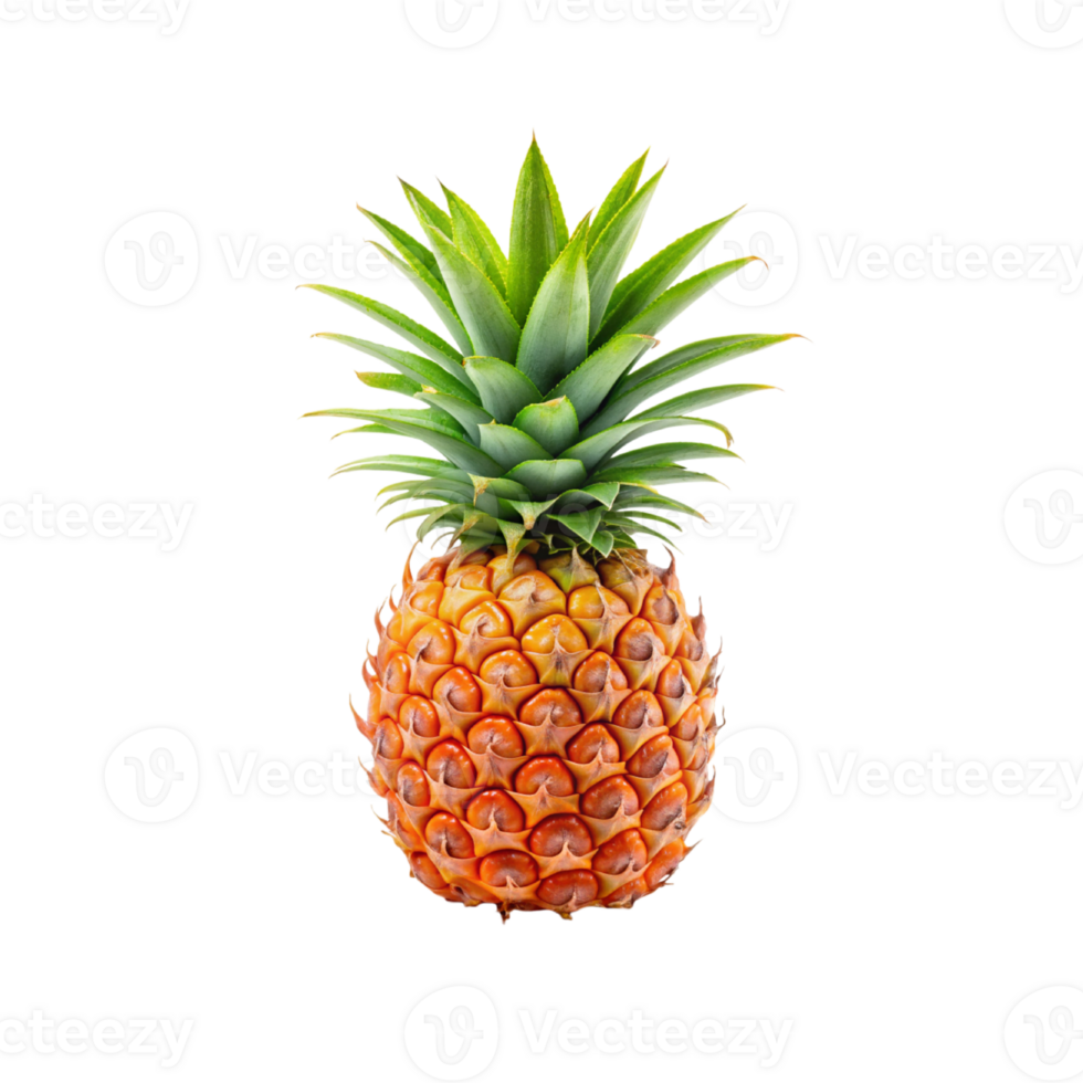pineapple on transparent background png