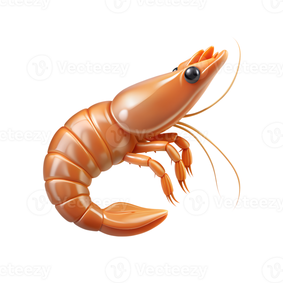 shrimp, realistic 3d illustration, isolated on transparent background png