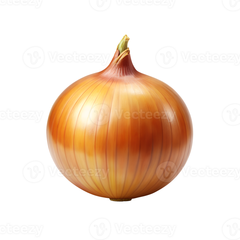 an onion is shown on a transparent background png