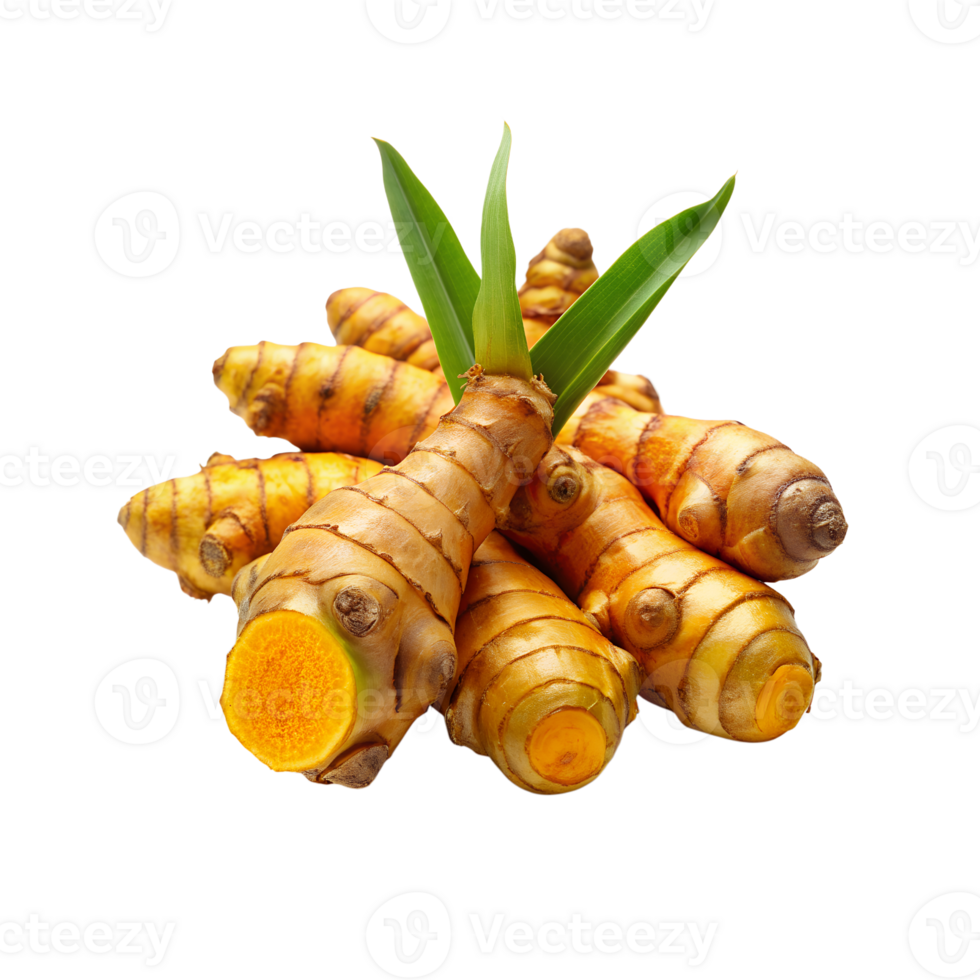 realistic Turmeric isolated png