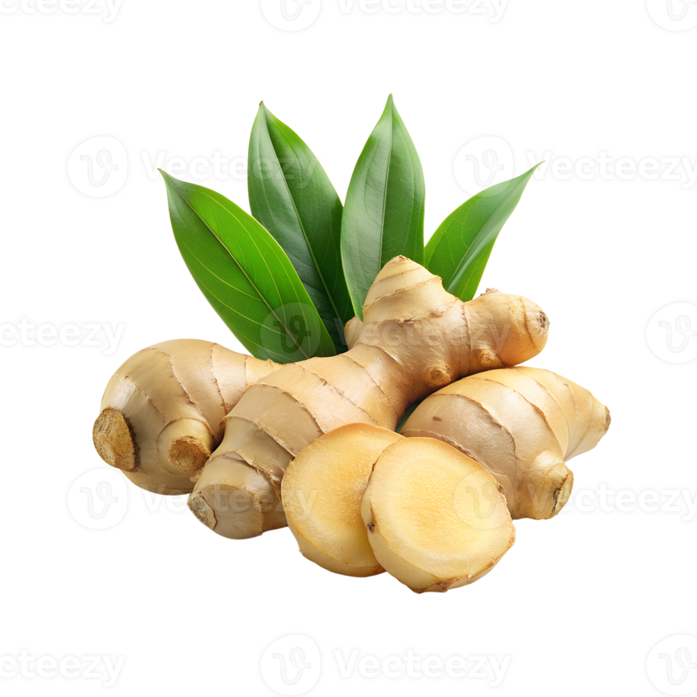 Fresh ginger rhizome and sliced with leaves png
