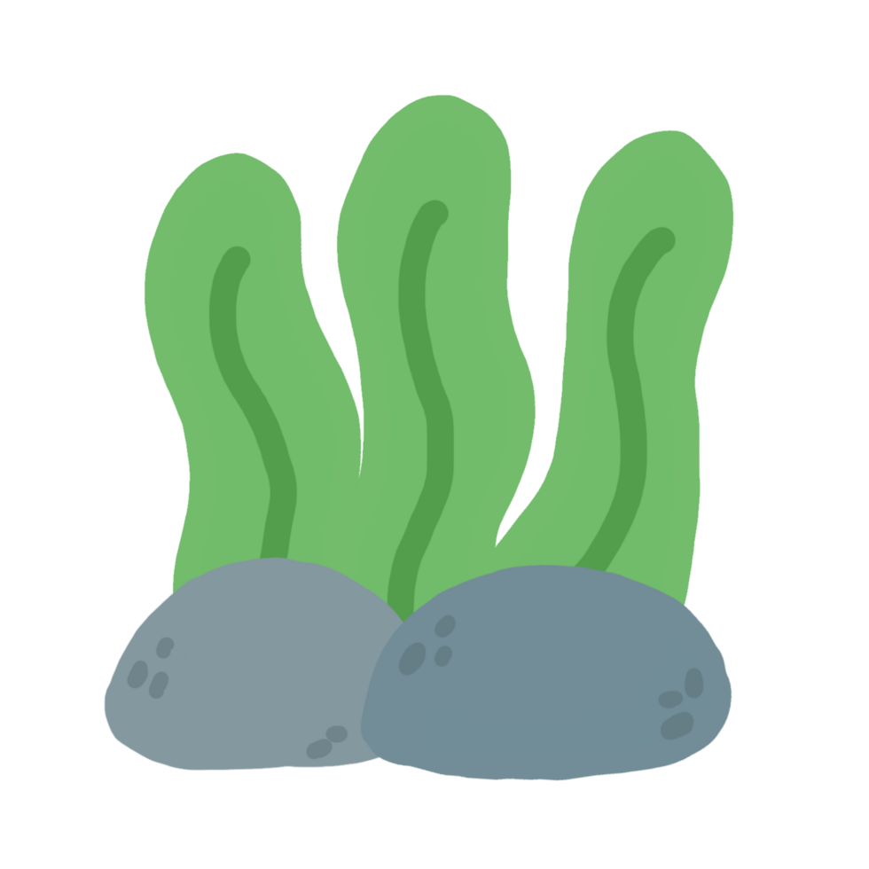 seaweed with rock png