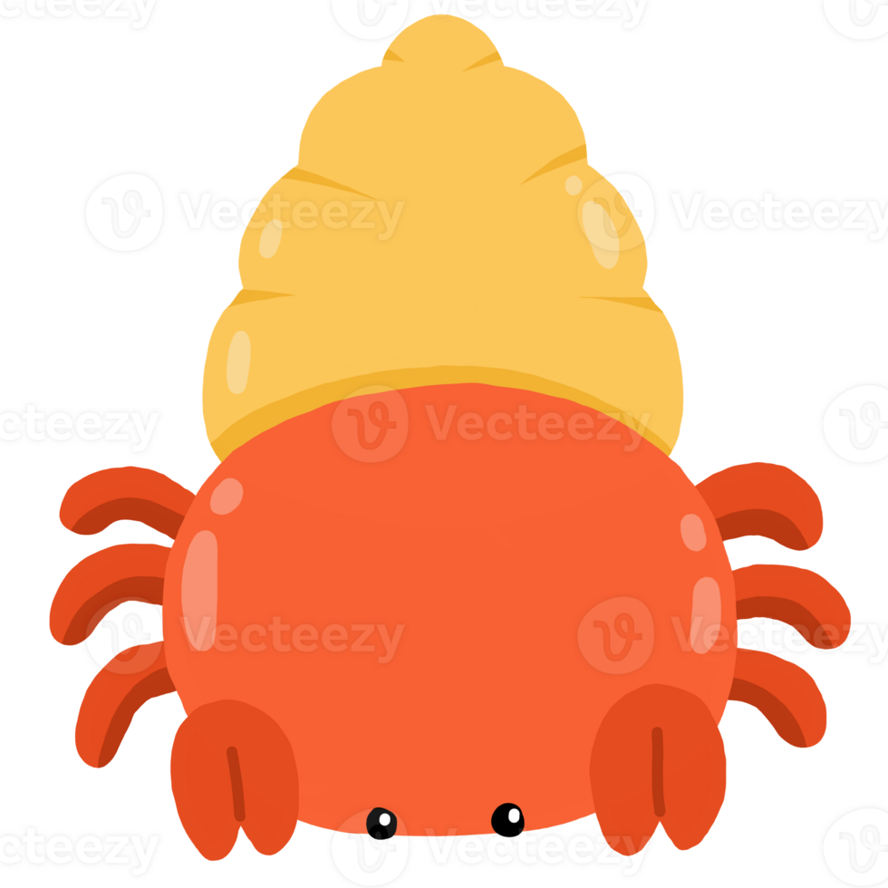 hermit crab cartoon png