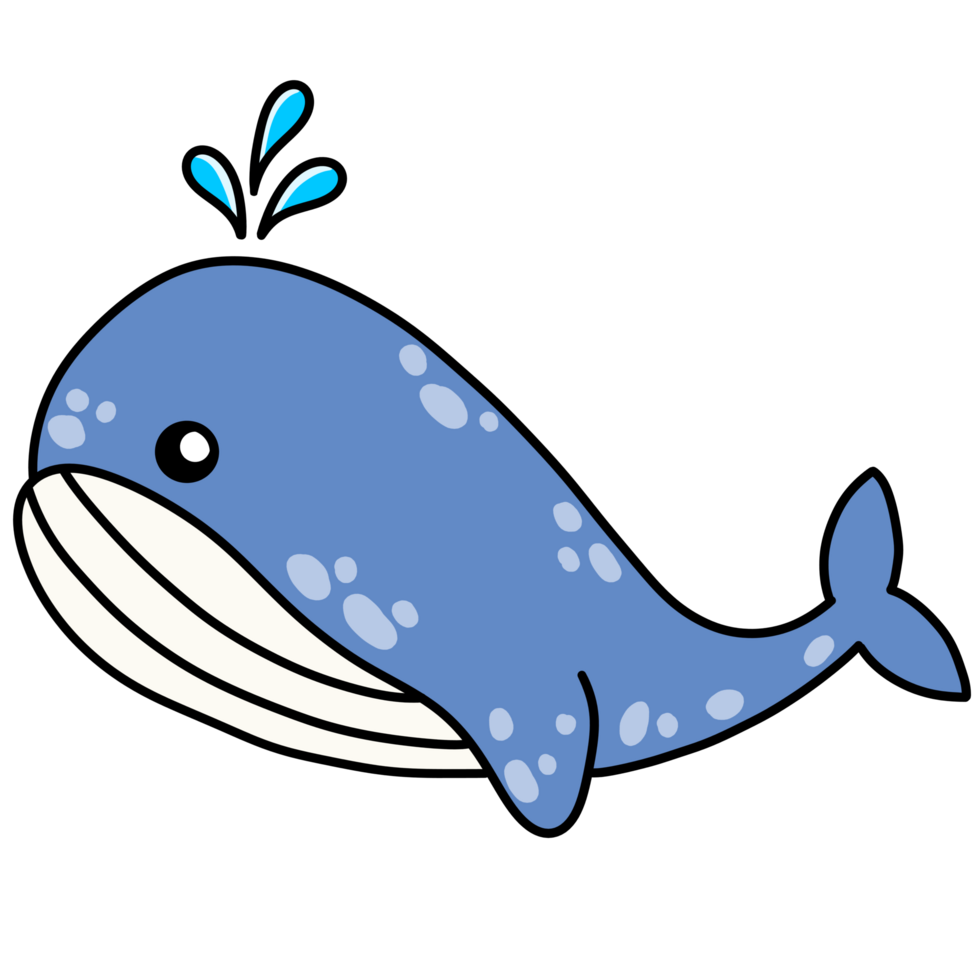 cute whale cartoon png