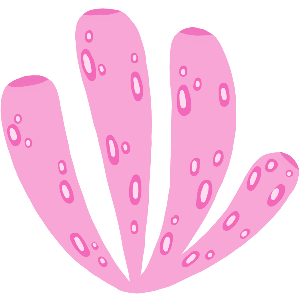 pink coral cartoon png