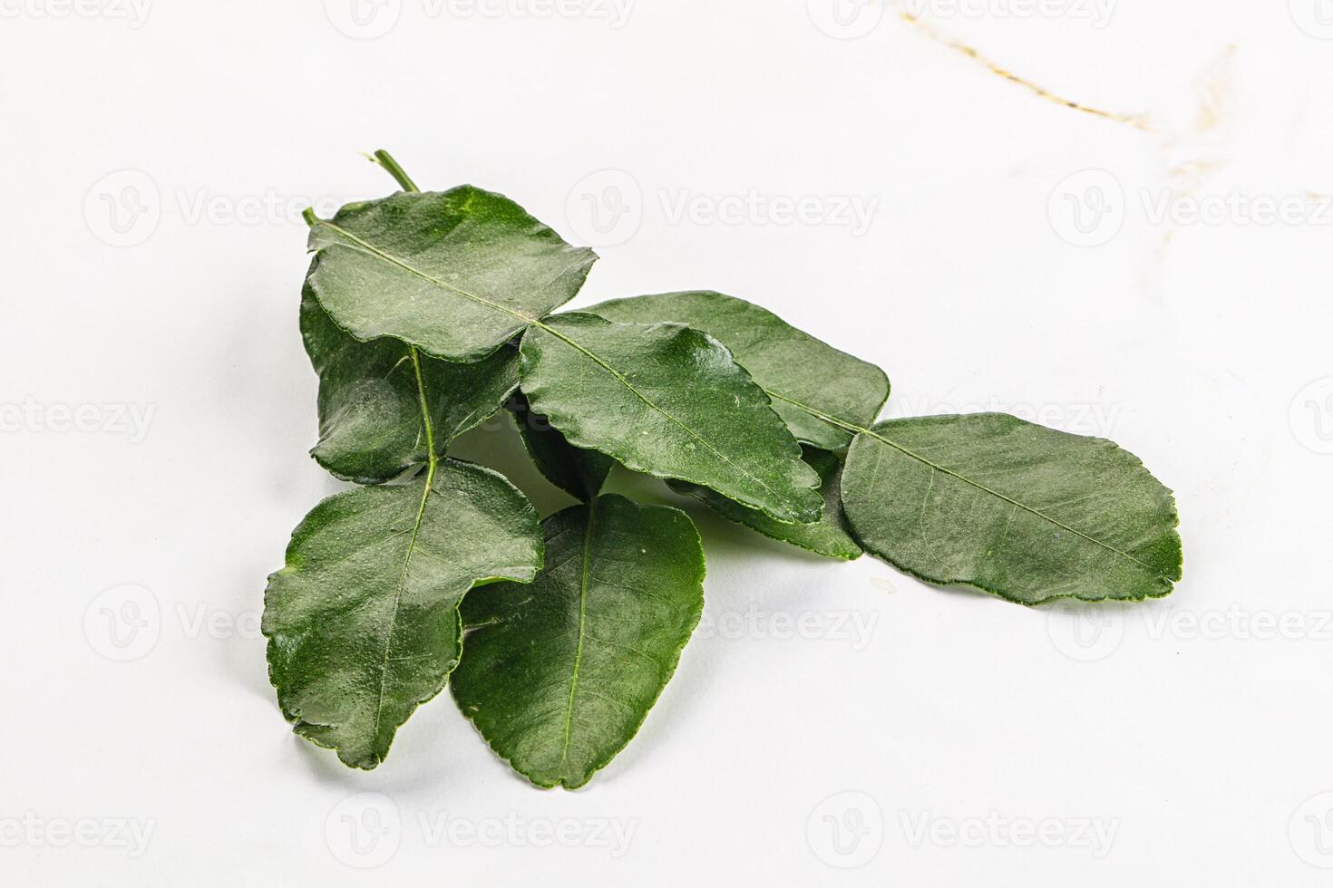 Aroma seasoning kaffir lime leaves photo