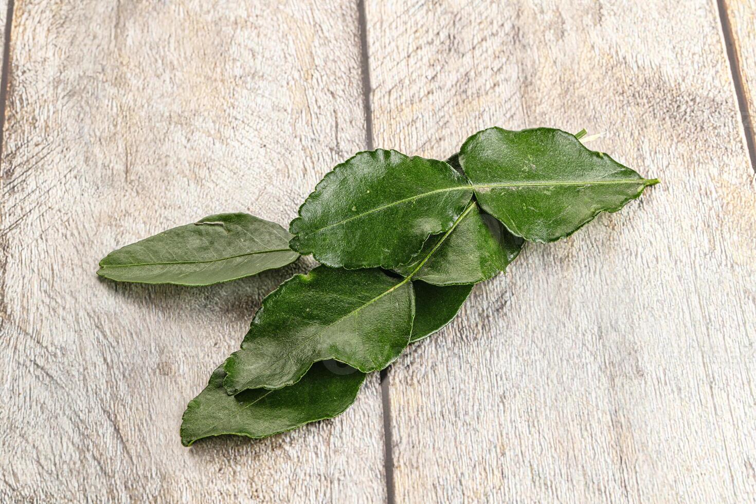 Aroma seasoning kaffir lime leaves photo