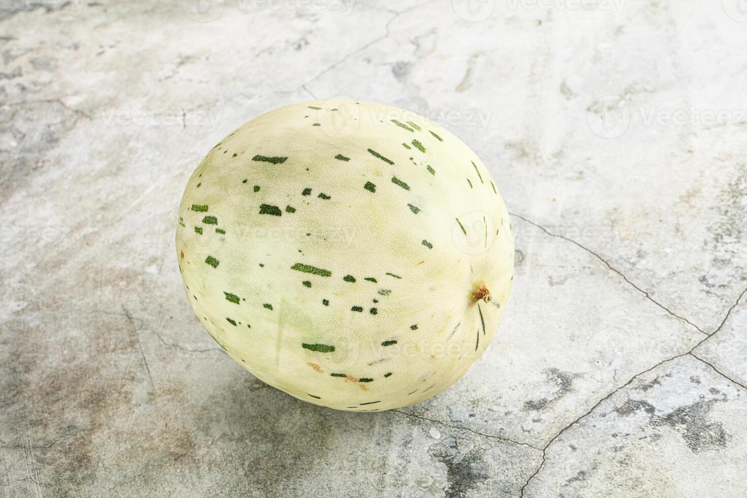 Ripe sweet juicy Dalmatin melon photo