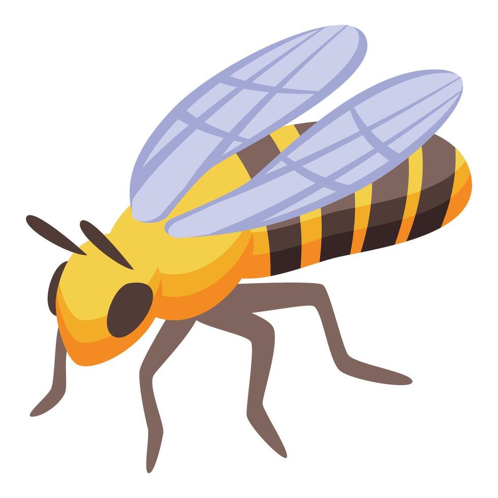 Honey bee spreading its wings preparing to fly vector