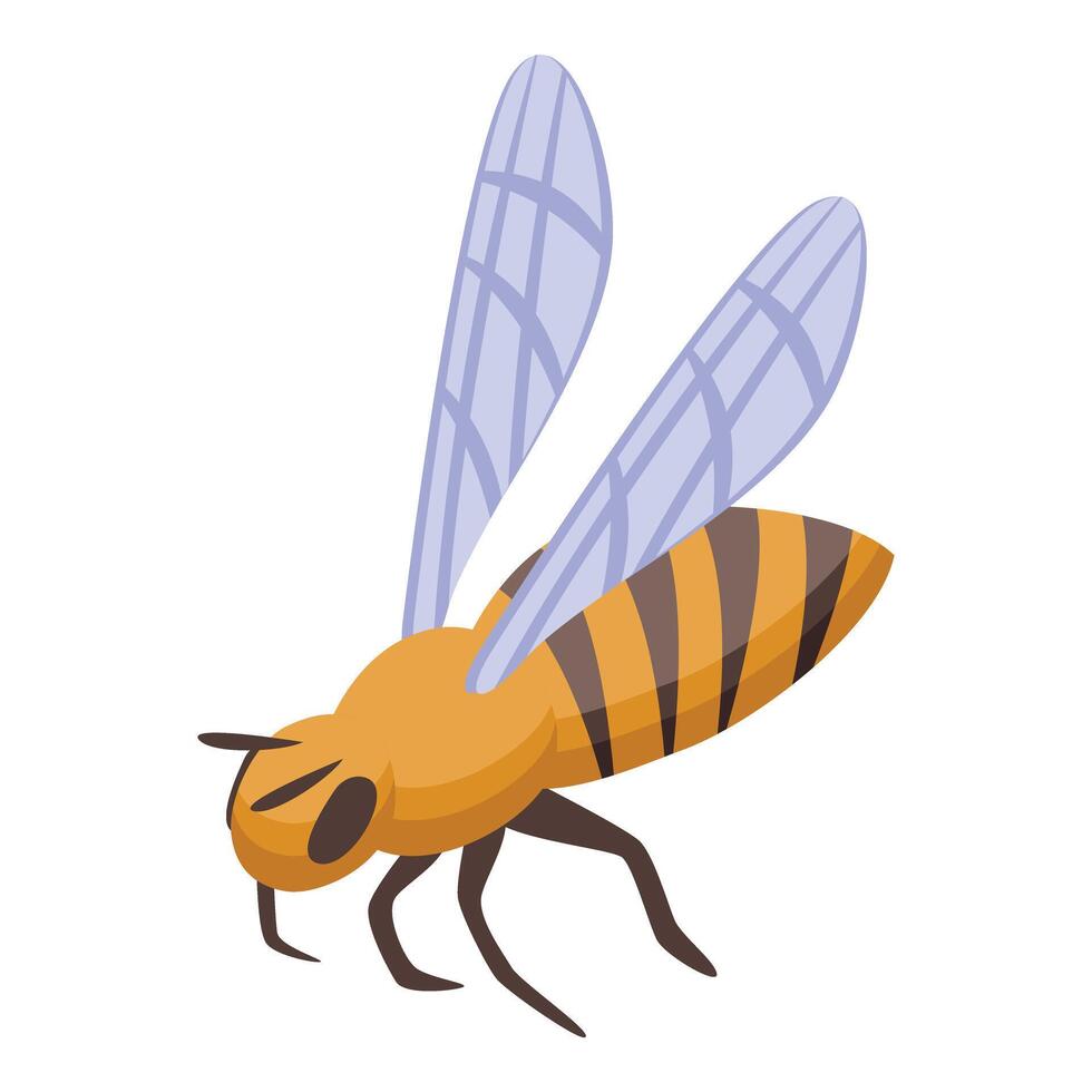 Honey bee flying with spread wings illustration vector