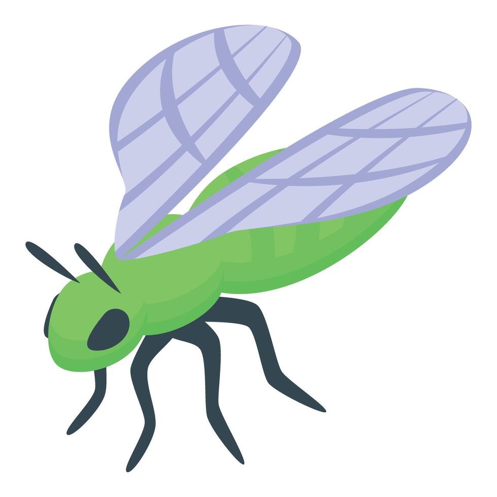 Green insect with translucent wings is flying vector