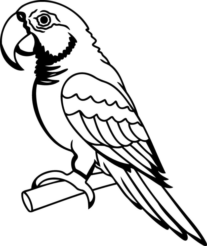 Coloring page book Animal parrot icon vector